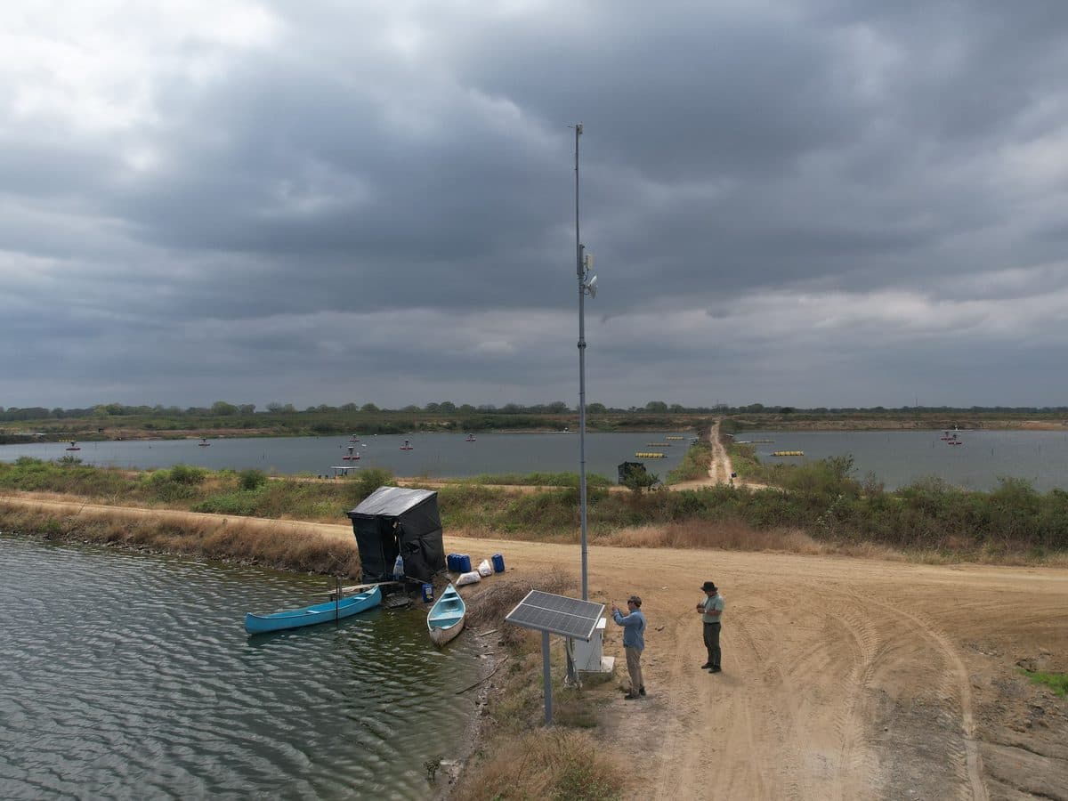 Vista aérea de un sitio con mástil, panel solar y cuadrilla sobre el dique.