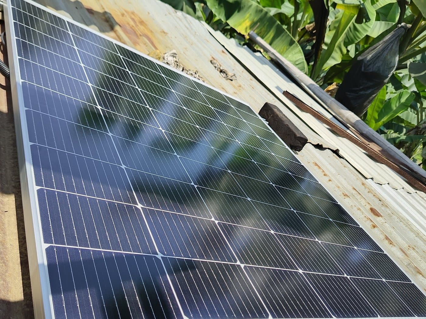 Panel fotovoltaico instalado sobre techo de zinc, en un sitio rodeado de plantación.